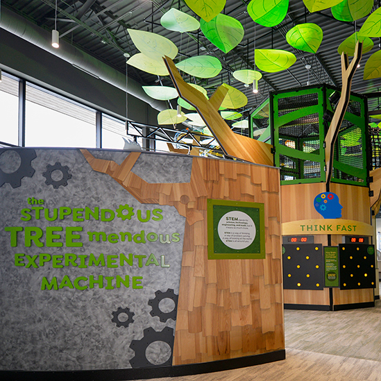 overview of the TREEmendious Experimental Machine